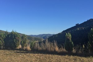 Vista do quarto