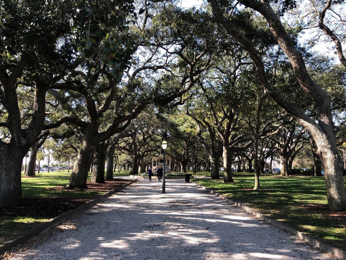 CHARLESTON HISTORIC TOURS - All You Need to Know BEFORE You Go