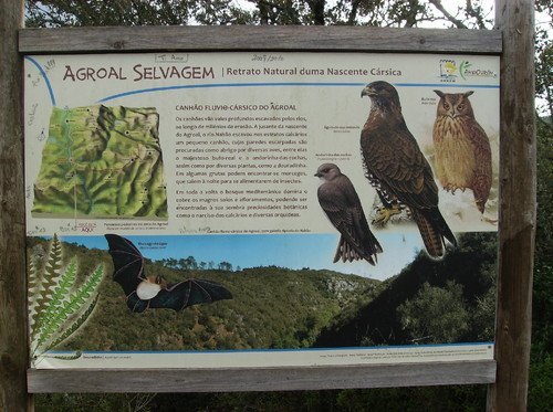 Informacao