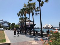 Free Tours Sydney - Bus and Walking Tours - City Centre