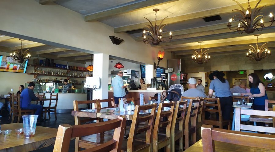 Los Agaves
