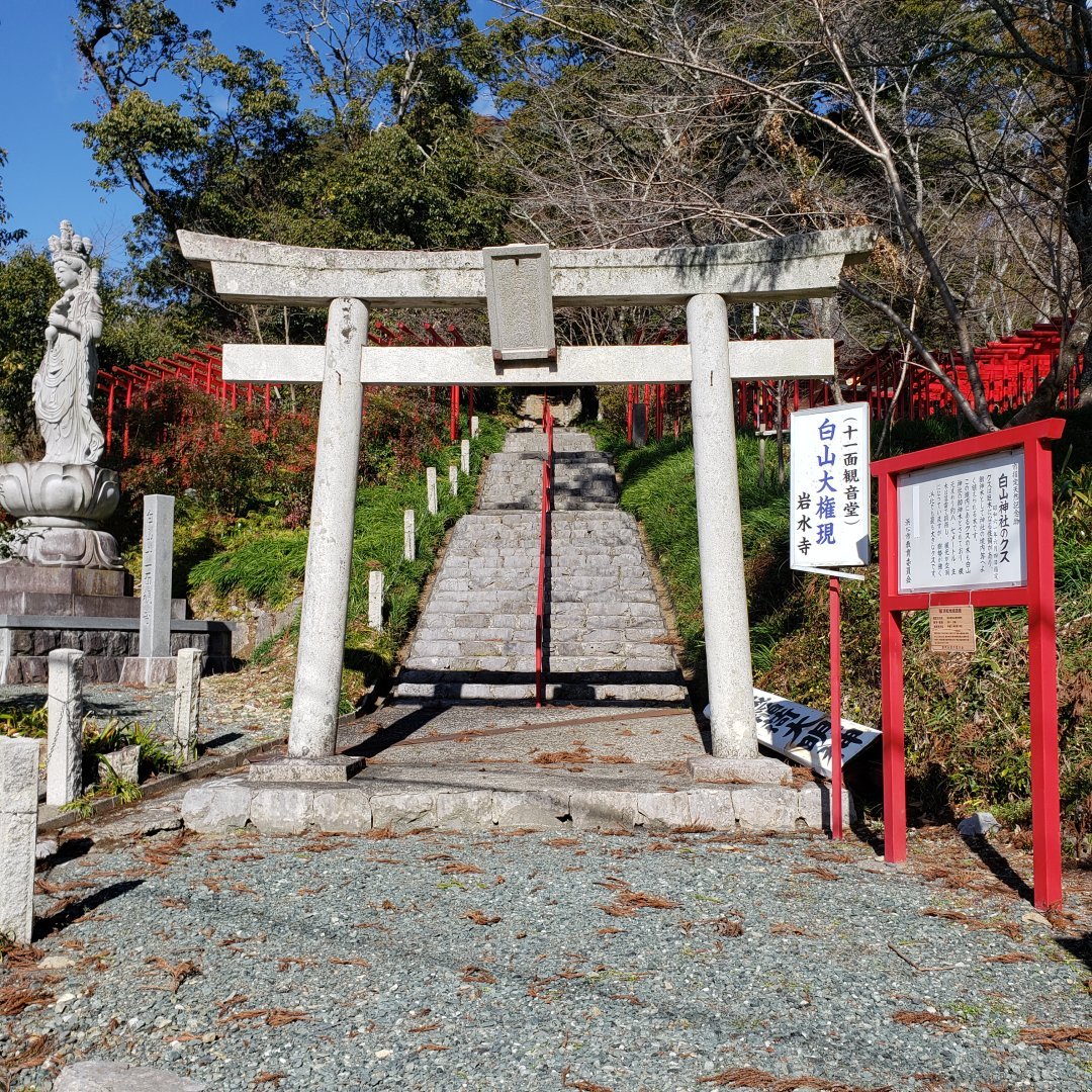 岩水寺 ペットok セール