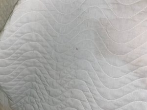 Quarto e suíte