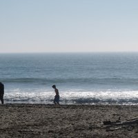 Seabright State Beach (Santa Cruz) - All You Need to Know BEFORE You Go