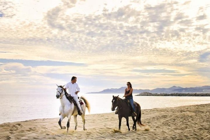 2024 Horseback Riding On The Beach And Through The Desert   Caption 