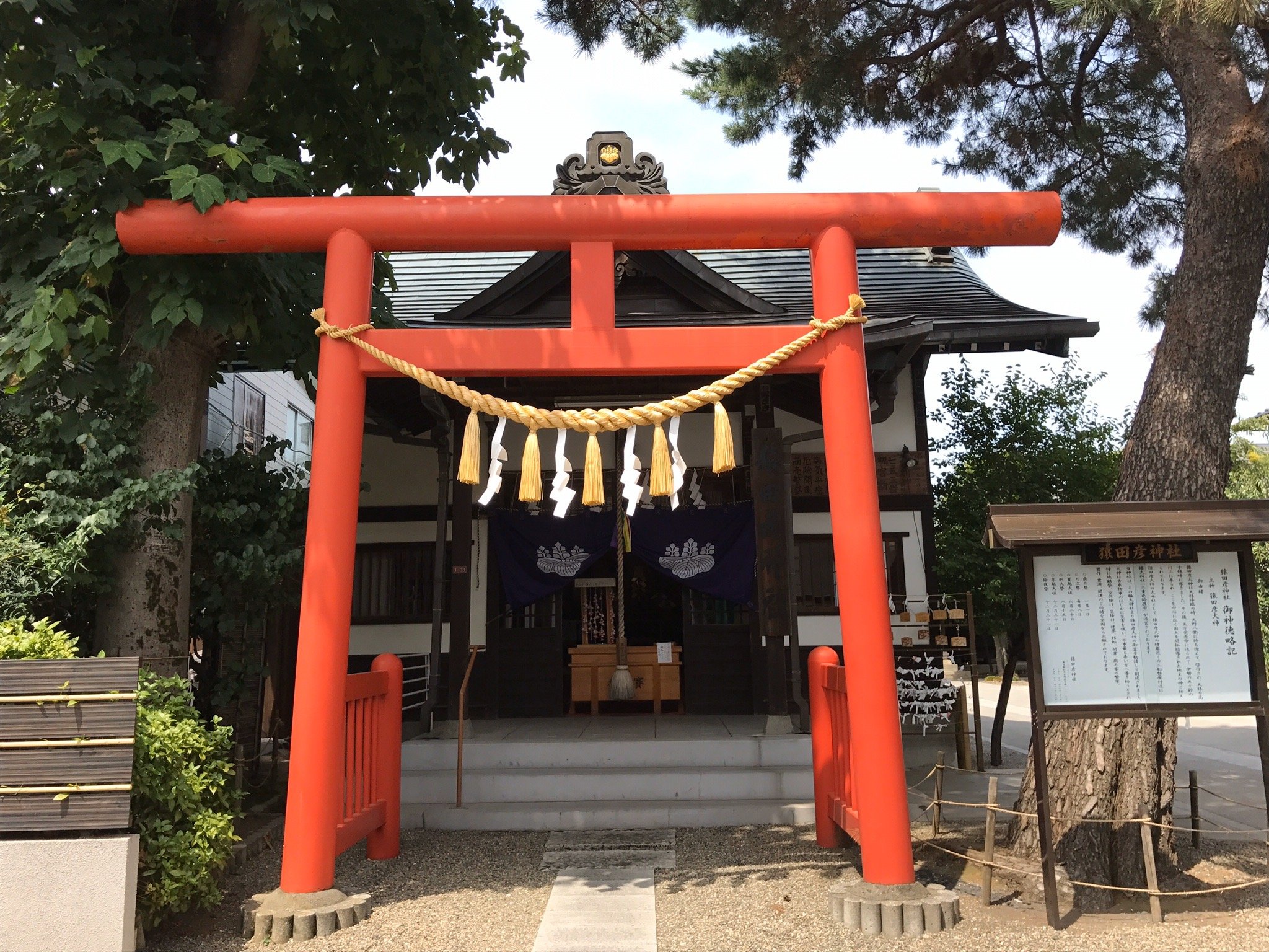 2025年 杉並猿田彦神社 - 出発前に知っておくべきことすべて
