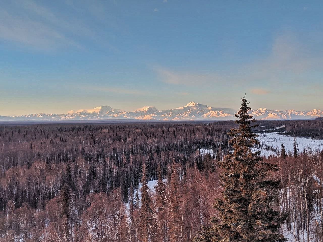 DENALI OVERLOOK INN - Updated 2024 Prices & Hotel Reviews (Talkeetna ...