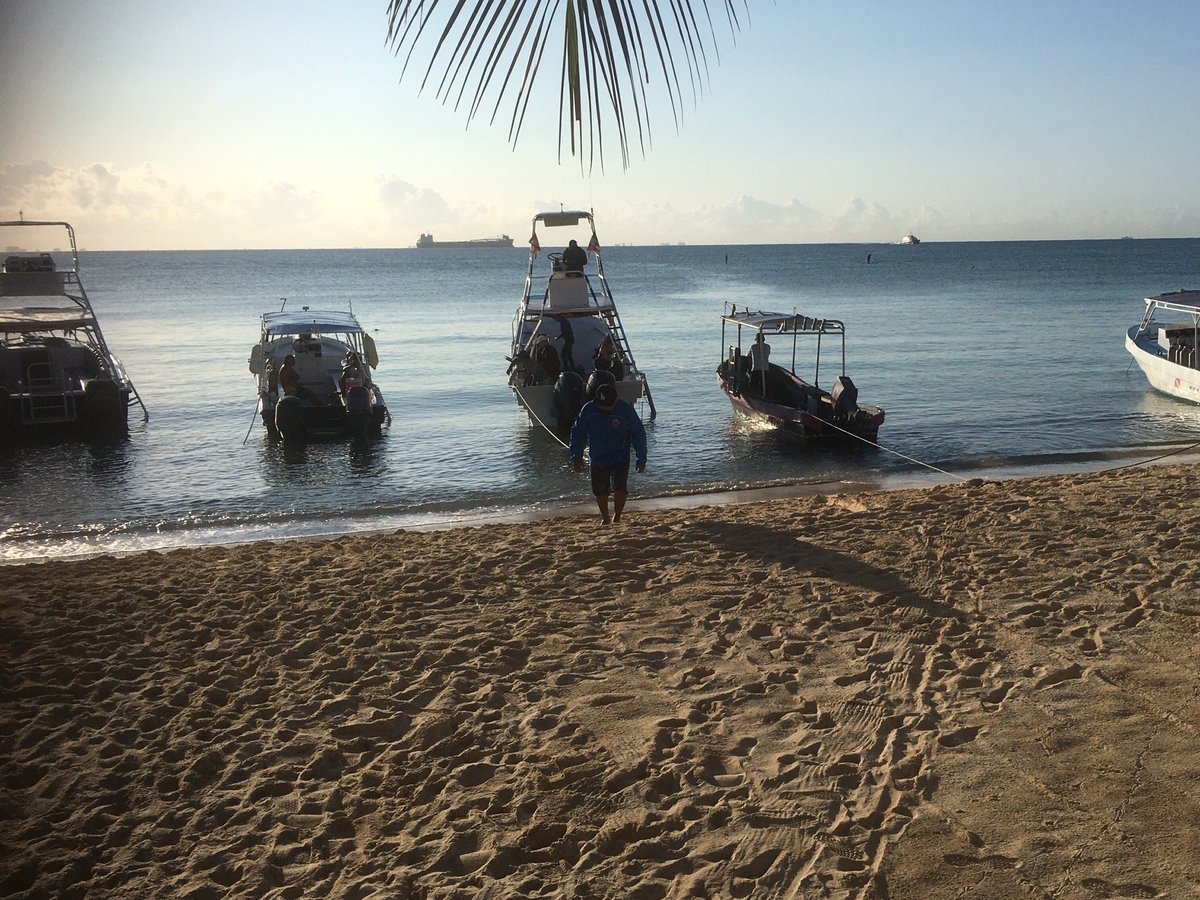 abyss dive center playa del carmen