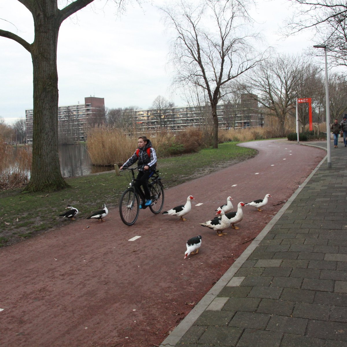Waddinxveense Hefbrug (Waddinxveen) Aktuelle 2021 Lohnt es sich