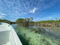 Tulum: el destino Eco-chic de moda en México - Sian ka'an Adventure