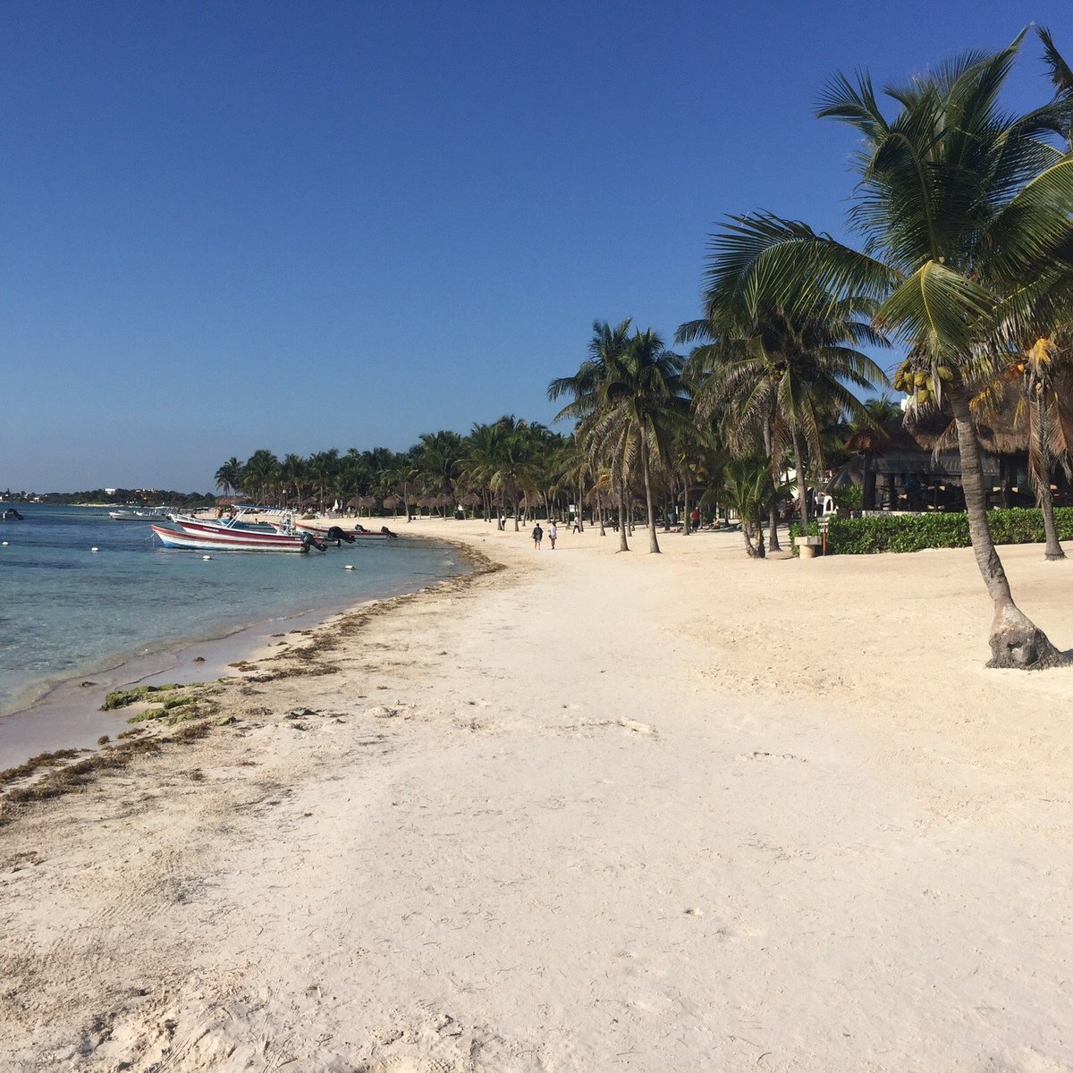 Playa de Akumal Lo que se debe saber antes de viajar Tripadvisor