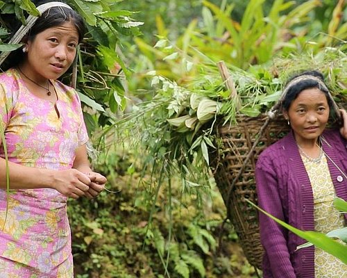 tour guide for sikkim