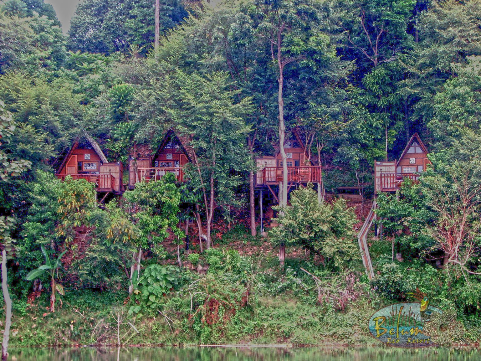 BELUM ECO RESORT Updated 2024 Reviews Photos   Belum Eco Resort Sdnbhd 