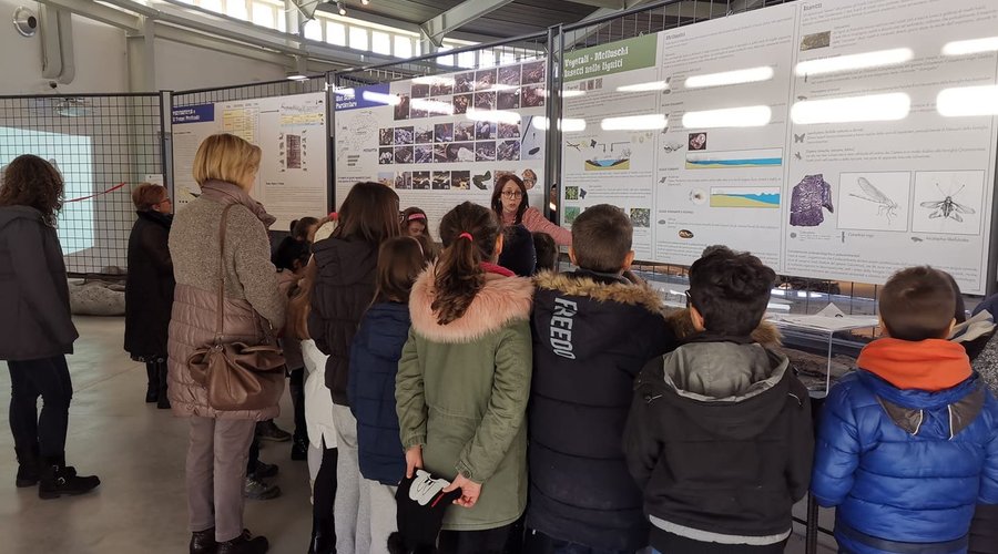 Serivizi didattici per le scuole