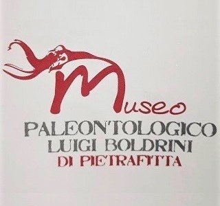 logo del museo
