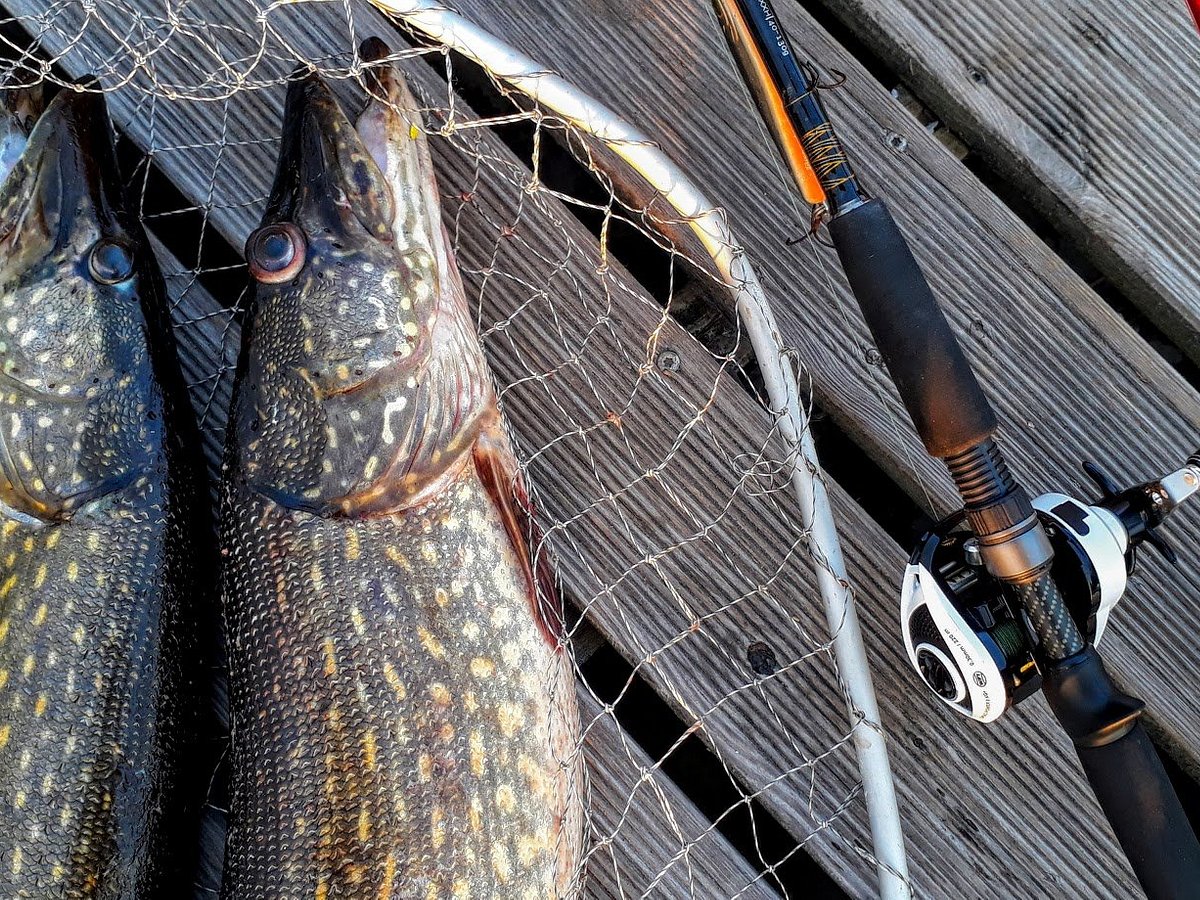 WHAT PIKE ROD & PIKE REEL DO I PREFER? - Tobias Ekvall 