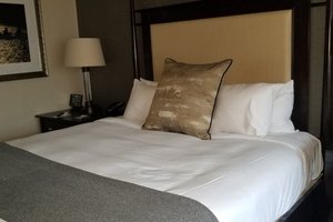 Room & Suite
