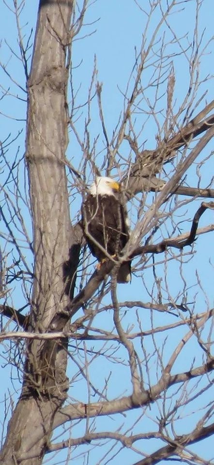 Sequoyah National Wildlife Refuge (Vian): All You Need to Know