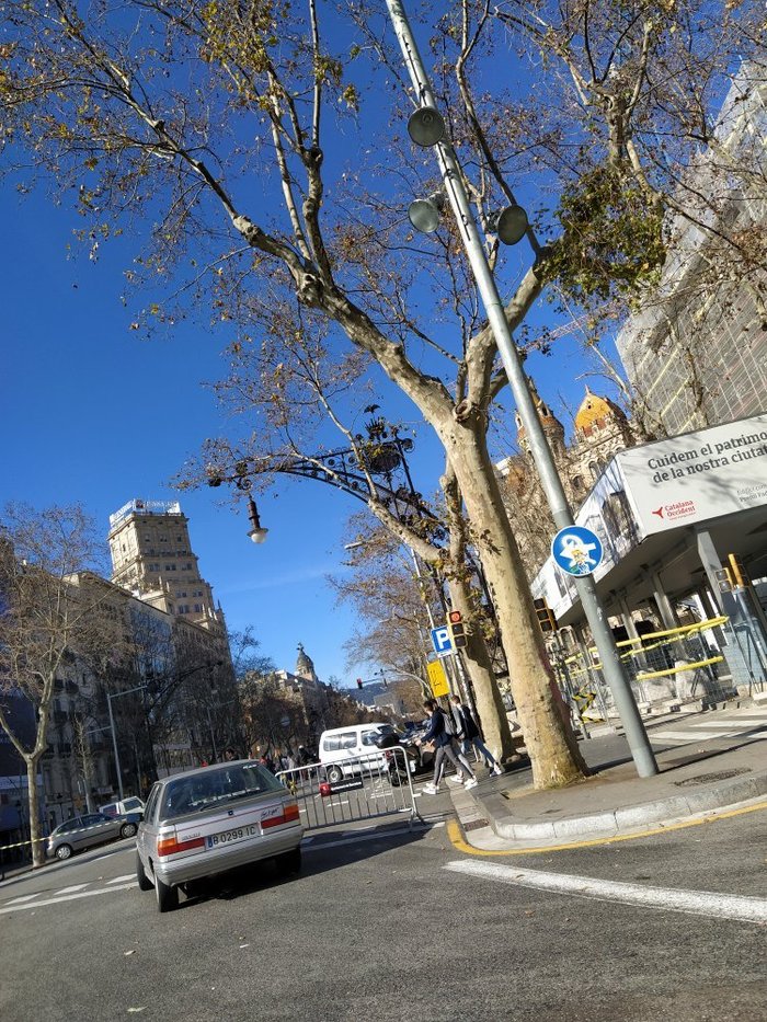 Imagen 8 de Paseo de Gracia