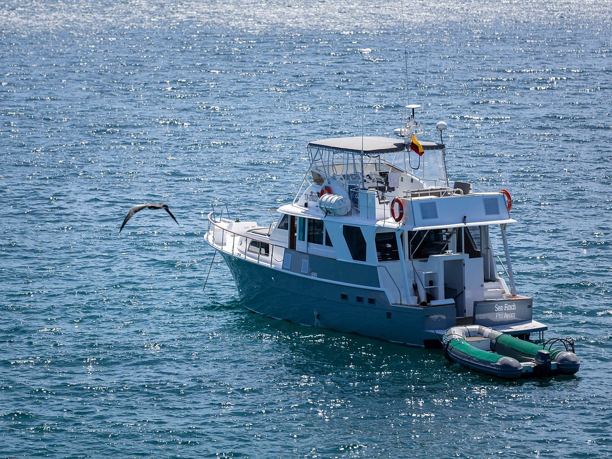 sea finch yacht galapagos