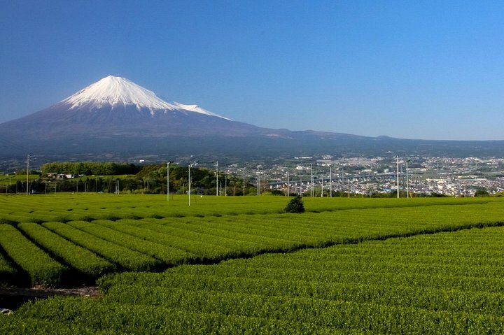 Mt. Fuji World Heritage Centre, Shizuoka (2025) - All You