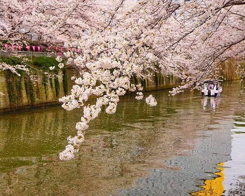 osaka castle boat tour