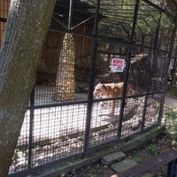 Bucharest Zoo - All You Need to Know BEFORE You Go (with Photos)