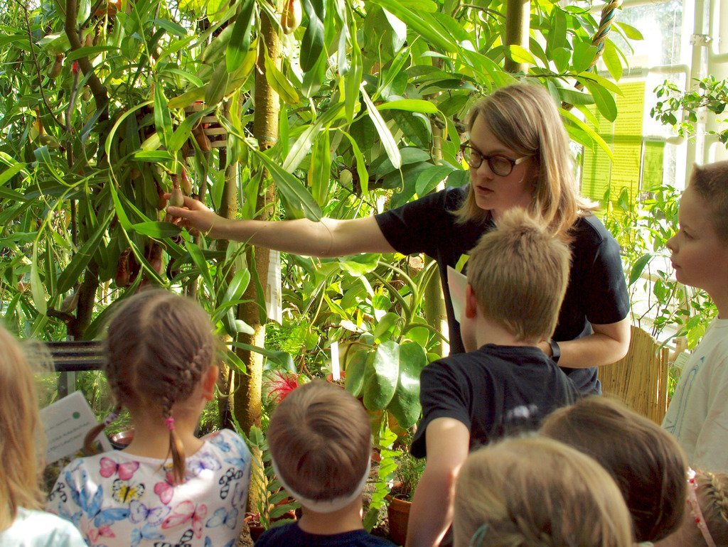 2025年 Turku University Botanical Garden 出発前に知っておくべきことすべて トリップアドバイザー
