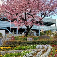 花ひろば