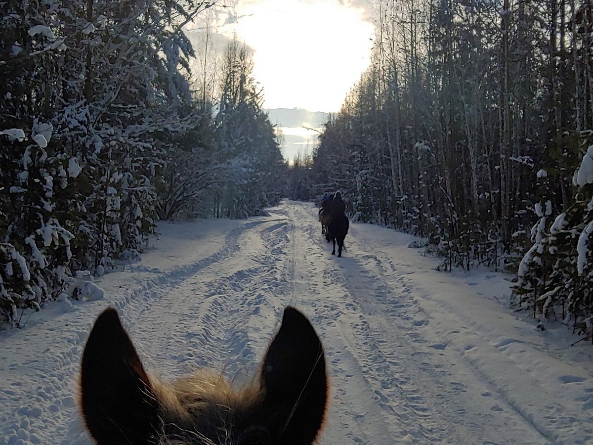 конный клуб ФАВОРИТ, Братск: лучшие советы перед посещением - Tripadvisor