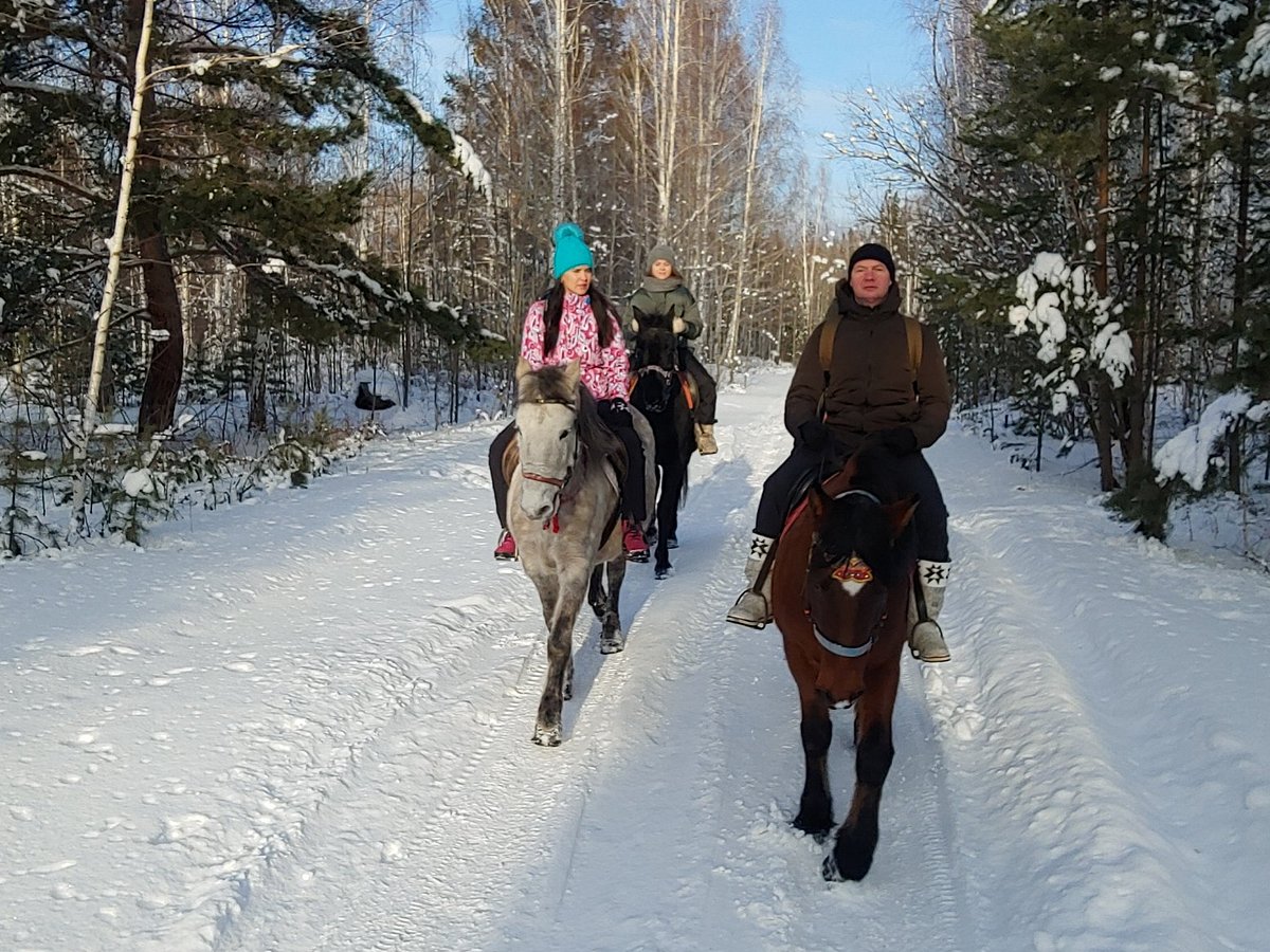 конный клуб ФАВОРИТ, Братск: лучшие советы перед посещением - Tripadvisor