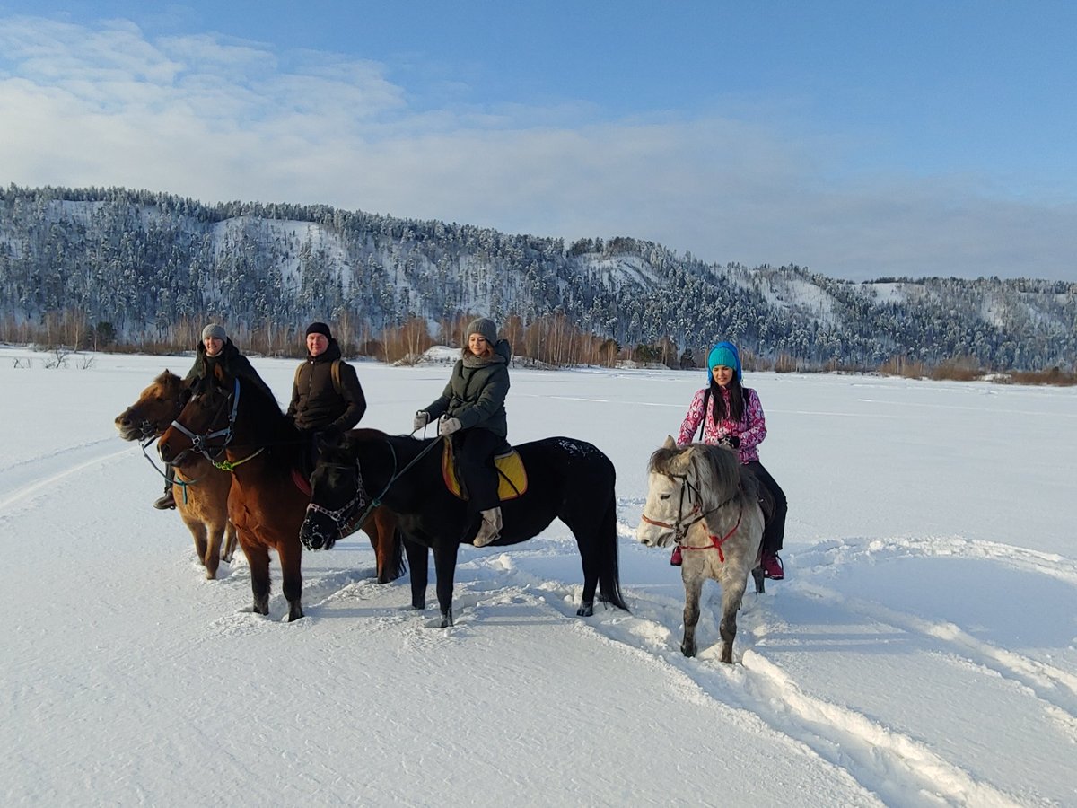 конный клуб ФАВОРИТ, Братск: лучшие советы перед посещением - Tripadvisor