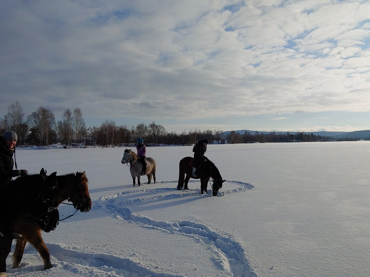 конный клуб ФАВОРИТ, Братск: лучшие советы перед посещением - Tripadvisor