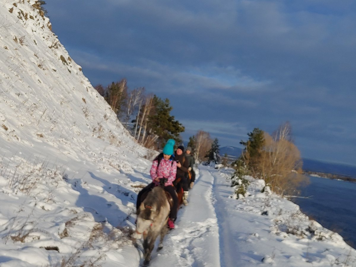 конный клуб ФАВОРИТ, Братск: лучшие советы перед посещением - Tripadvisor