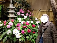 Yuushien Garden Matsue 21 All You Need To Know Before You Go With Photos Tripadvisor Yuushien Garden Matsue 21 All You Need To Know Before You Go With Photos Tripadvisor