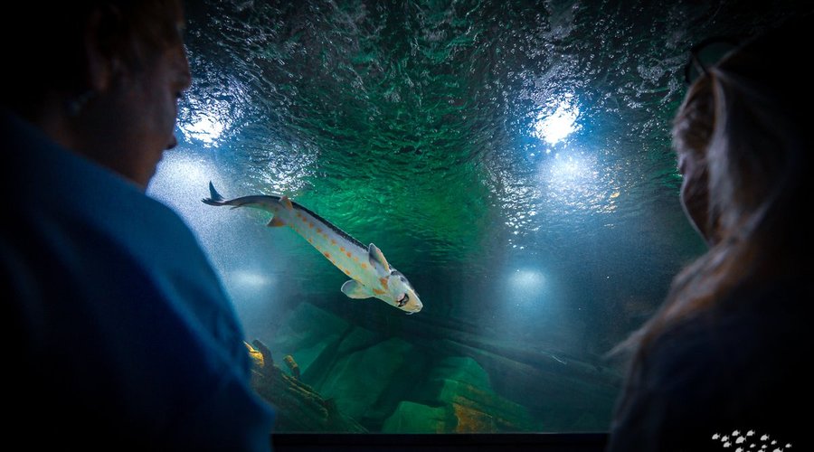 Oceanarium Międzyzdroje