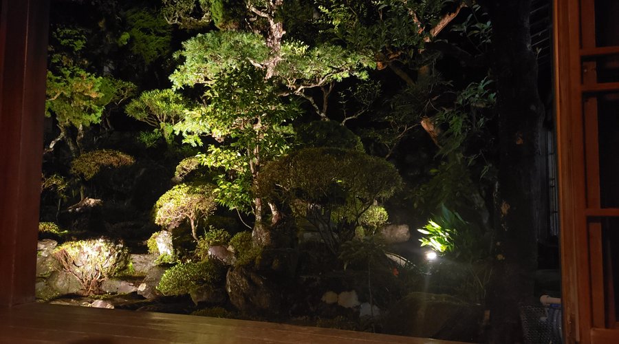 夜はライトアップ。