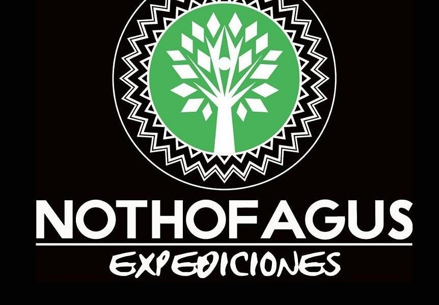 Nothofagus Expediciones image