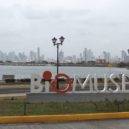 Panama City Diane K review images