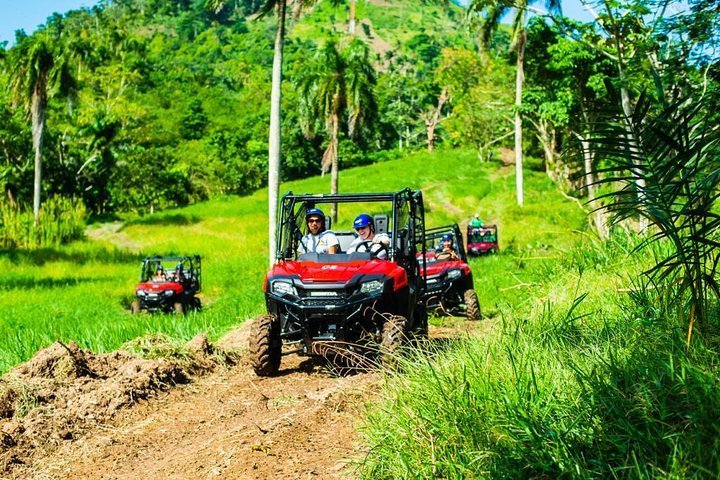 (République dominicaine) Pack d’aventures: Monkeyland, tyroliennes et ...