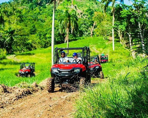 monkey safari dominican republic