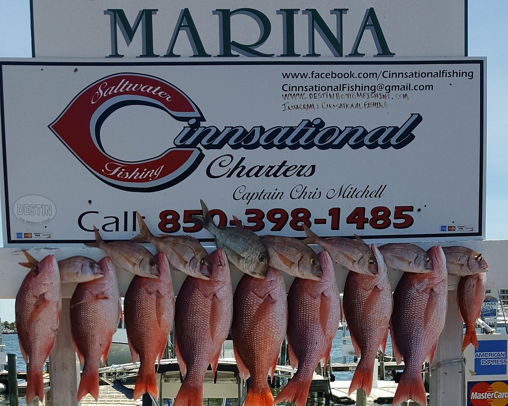 THE 10 BEST Miramar Beach Fishing Charters & Tours (2024)