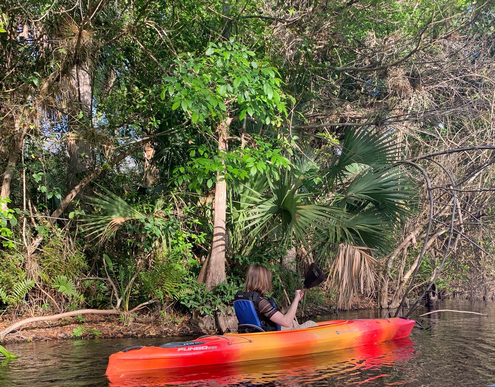 everglades adventures kayak & eco tours everglades city fl