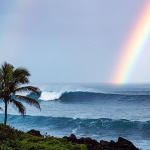 MAKAPU'U BEACH (Waimanalo) - 2023 What to Know BEFORE You Go