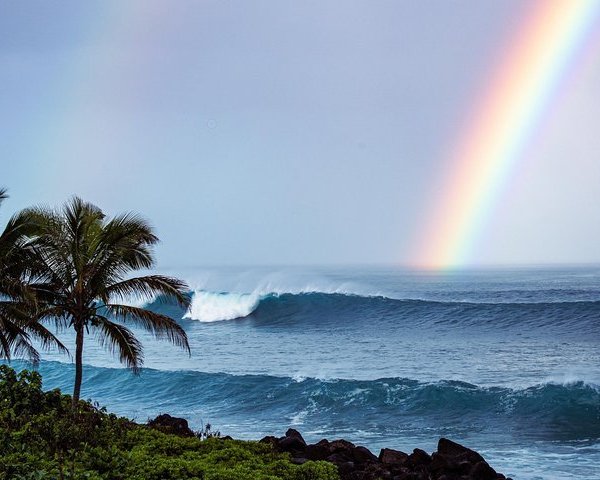 Ehukai Beach Park Pupukea 2022 All You Need To Know Before You Go With Photos Tripadvisor