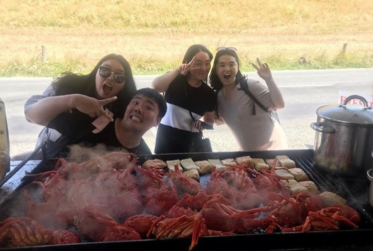 Lots of crayfish 
