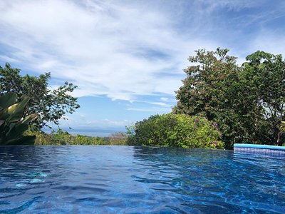 Puerto Jimenez, Costa Rica 2024: Best Places to Visit - Tripadvisor