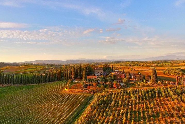 THE 10 BEST Province of Arezzo Wine Tasting Tours Updated 2024