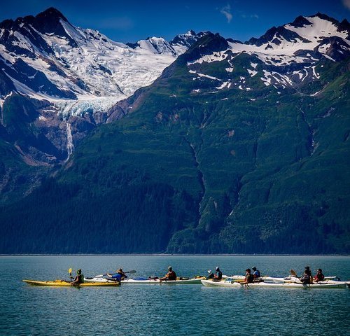 best shore excursions in haines alaska