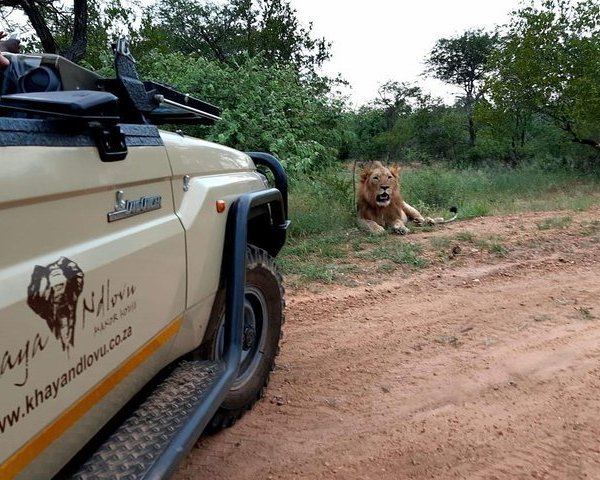 Modjadji Nature Reserve (Duiwelskloof) - All You Need to Know BEFORE You Go